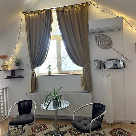 Cozy 1-room Apartment