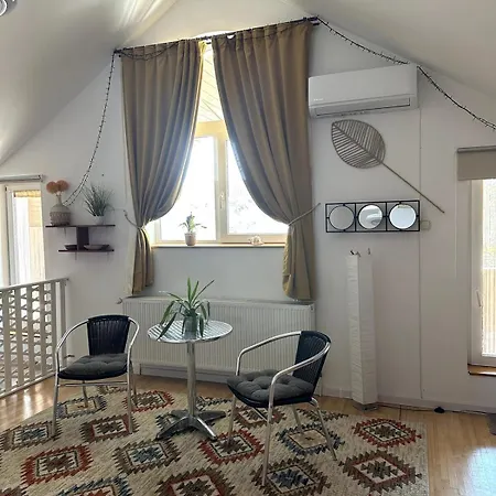 Apartment Cozy 1-room Timisoara