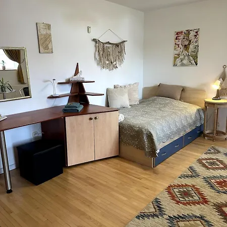 Cozy 1-room Apartment Timisoara