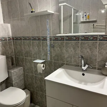 Cozy 1-room דירה טימישוארה